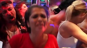 Busty party ho slammed