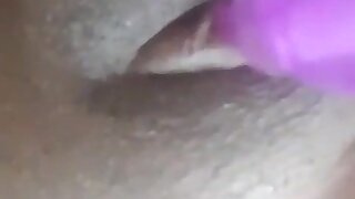 FLICK-2017 pussy.